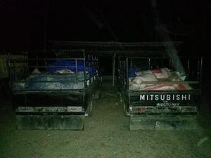 Polisi Aceh Tangkap 3 Penyelundup 4 Ton Getah Pinus Ilegal ke Medan