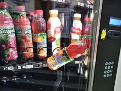 Deretan Momen Apes Netizen, Kasihan Tapi Juga Bikin Ketawa