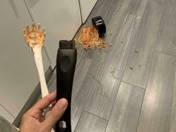 Deretan Momen Apes Netizen, Kasihan Tapi Juga Bikin Ketawa