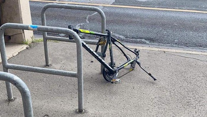 Deretan Momen Apes Netizen, Kasihan Tapi Juga Bikin Ketawa