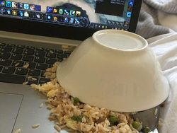 Deretan Momen Apes Netizen, Kasihan Tapi Juga Bikin Ketawa