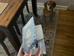 Deretan Momen Apes Netizen, Kasihan Tapi Juga Bikin Ketawa