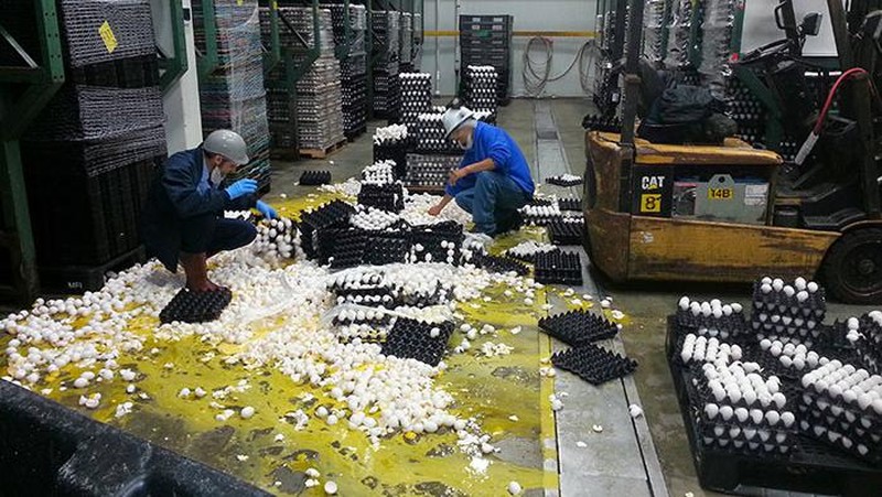 Deretan Momen Apes Netizen, Kasihan Tapi Juga Bikin Ketawa