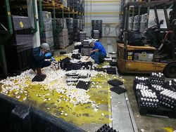 Deretan Momen Apes Netizen, Kasihan Tapi Juga Bikin Ketawa