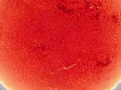 Foto Terbaru Matahari, Sedang Aktif-aktifnya