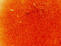 Foto Terbaru Matahari, Sedang Aktif-aktifnya