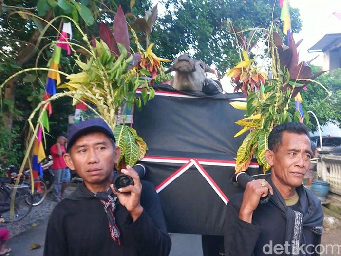 Larung kepala kerbau di Dam Bagong, Trenggalek.