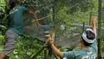 Mampir ke Penangkaran Jalak Bali, Si Putih nan Lincah Terancam Punah