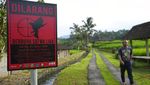Mampir ke Penangkaran Jalak Bali, Si Putih nan Lincah Terancam Punah