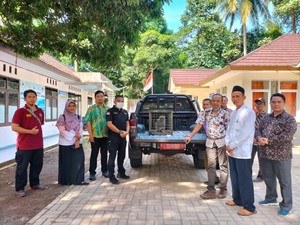 Bikin Resah, Monyet yang Serang 2 Warga di Pandeglang Diamankan BKSDA