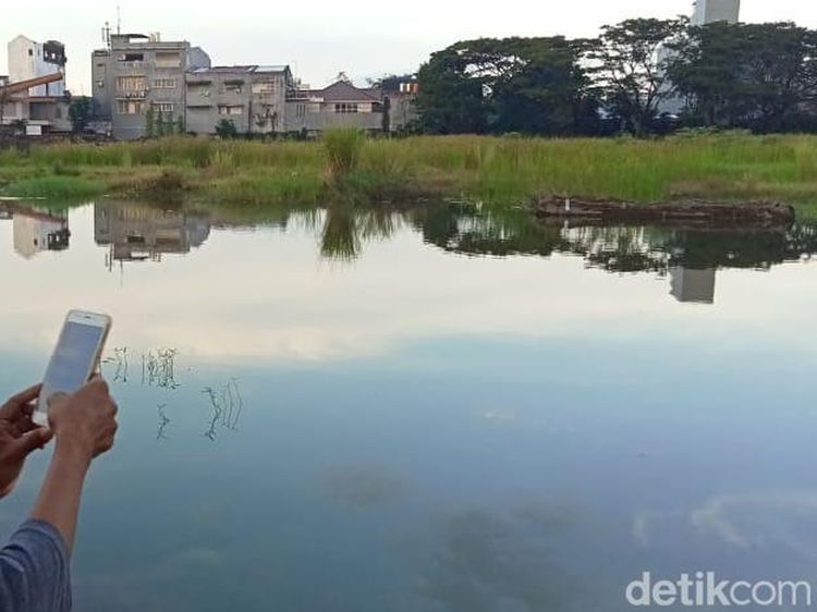 Potret Kubangan Mattoanging Tempat Orang Tewas-Diklaim Pemprov Ditimbun