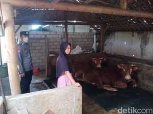 Kasus PMK di Magetan Terus Bertambah Tapi Tenaga Kesehatan Terbatas