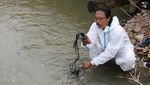 Waduh, Sungai di Aceh Ini Tercemar Mikroplastik