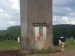 Deretan Foto Unik Mengecoh Mata, Dijamin Bikin Bingung