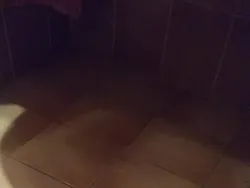 Deretan Foto Unik Mengecoh Mata, Dijamin Bikin Bingung