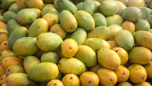 Manfaat mangga bagi kesehatan