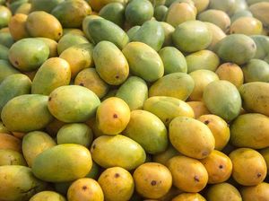 Debat Warganet soal Bule Beli Mangga Rp 15 Ribu di Bali, Wajar Nggak Sih?