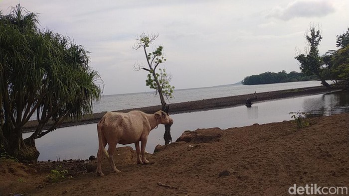 Pantai Hodo di Dompu