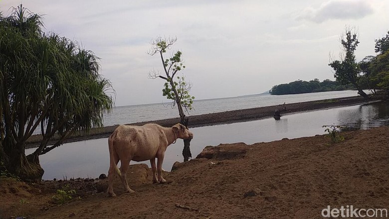 Pantai Hodo di Dompu Pantai Hodo di Dompu