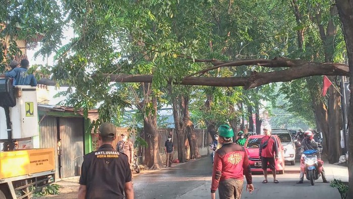 Pohon tumbang di Jl Jatiasih, Kota Bekasi, 4 Juni 2022. (Dok Istimewa)