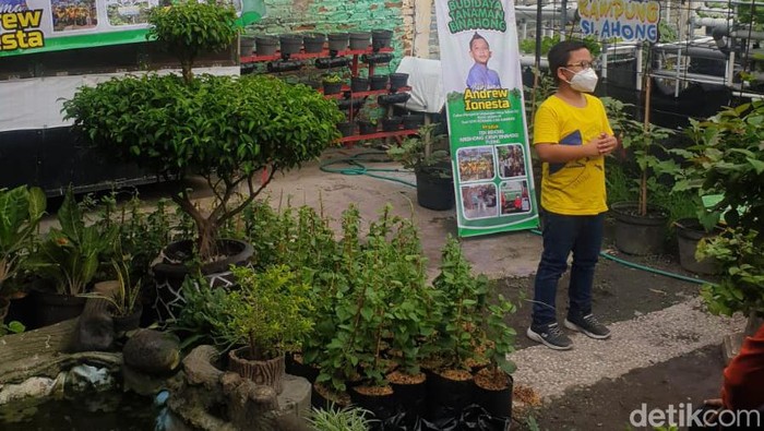 Siswa SD inovatif yang mampu membudidayakan ribuan tanaman kaya manfaat.