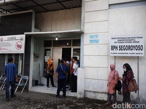 Sempat Mogok, Paguyuban Pedagang di Segoroyoso Mulai Potong Ternak Lagi