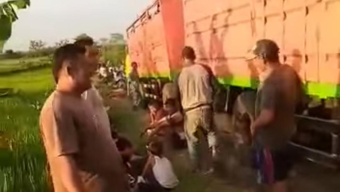 Viral truk masuk jalan setapak area persawahan