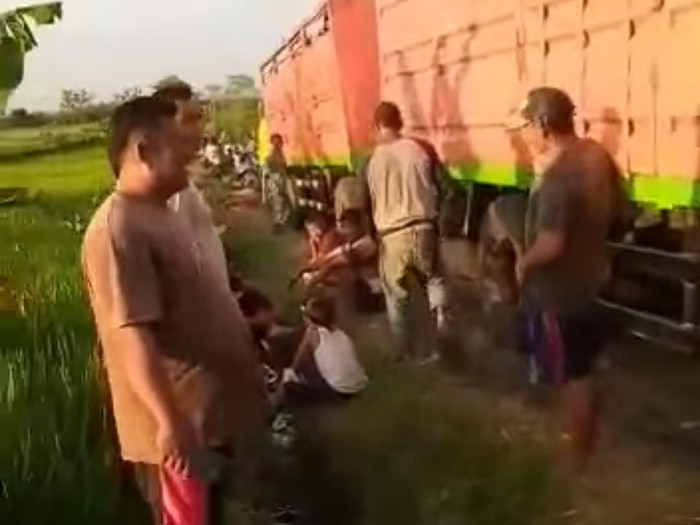 Viral truk masuk jalan setapak area persawahan