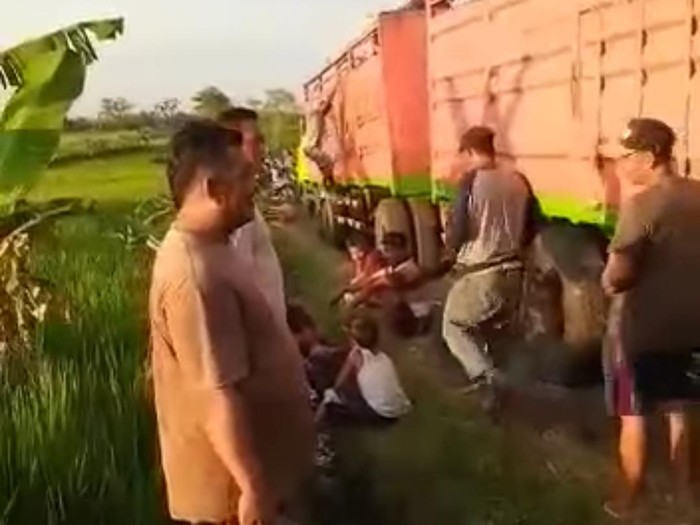 Viral truk masuk jalan setapak area persawahan