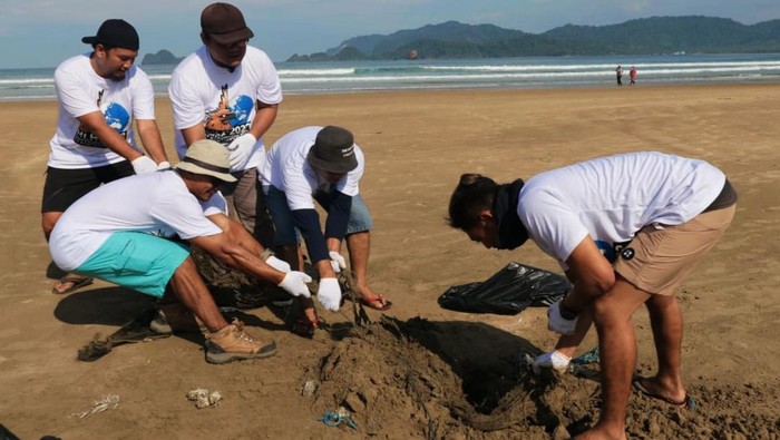 Banyuwangi Gelar Beach Clean Up di Pantai Pulau Merah