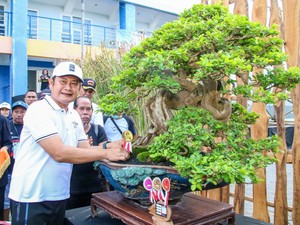 Wow, Ada Bonsai Senilai Rp 1,5 Miliar di Lamongan