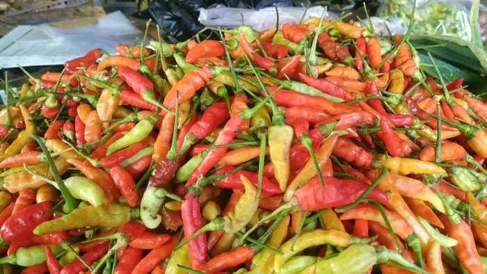 cabai rawit di kota pasuruan