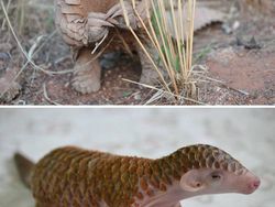 Gemasnya, Deretan Foto Bayi Hewan yang Jarang Diketahui