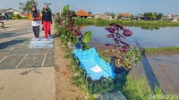Karya seni yang dipamerkan terdiri dari vash bunga, lukisan, replika bonsai, hingga aquarium.