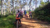 Foto: Gowes menembus hutan pinus detik