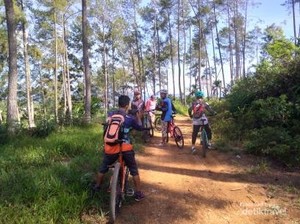 Gowes Menembus Hutan Pinus di Payakumbuh, Seru Abis!