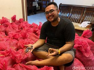 Mundur dari BUMN, Pria di Pekanbaru Ini Pilih Bisnis Kunyit Hitam