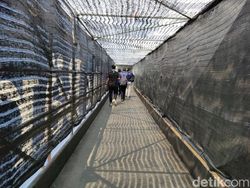 Menangkap Keseruan Formula E dengan Kamera Realme GT Neo 3T