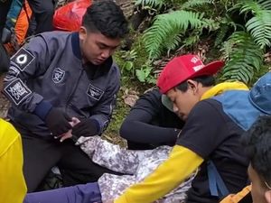 Viral, Pendaki Kesurupan di Gunung Gede Pangrango