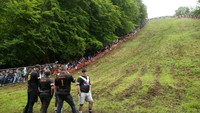 Maka tidak heran jika festival mengejar keju gouda ini diselenggarakan setiap tahunnya. Karena selain warga lokal, tercatat festival ini banyak juga dikunjungi turis dari negara lain. Setiap tahunnya tak kurang dari 5.000 orang memadati lokasi ini, baik sebagai peserta, maupun hanya sekadar menonton saja.