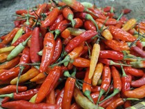 Harga Bawang Merah Naik, Harga Cabai di Surabaya Turun Jelang Nataru 2024