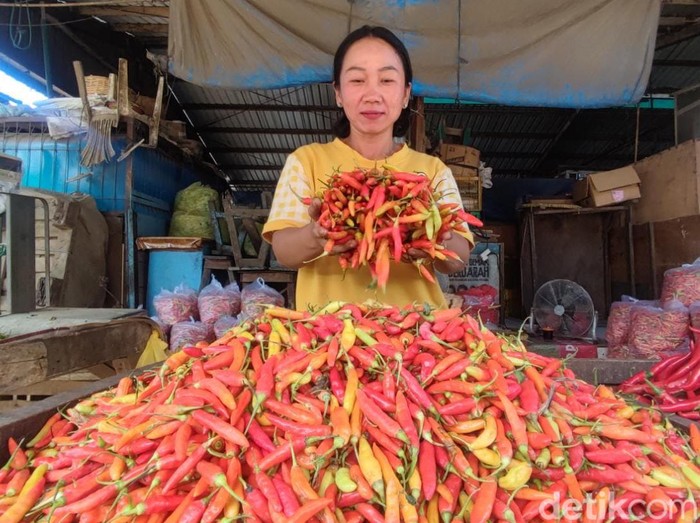 Harga cabai di Sidoarjo naik