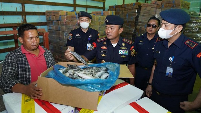 Ikan ilegal china
