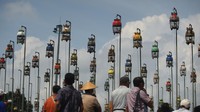 Kompetisi ini menjadi media pengenalan burung perkutut dan sebagai daya tarik wisata.  
