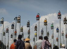 Hobi Burung Kicau Disebut Bikin Hutan Sunyi, Pasar Burung Makin Riuh