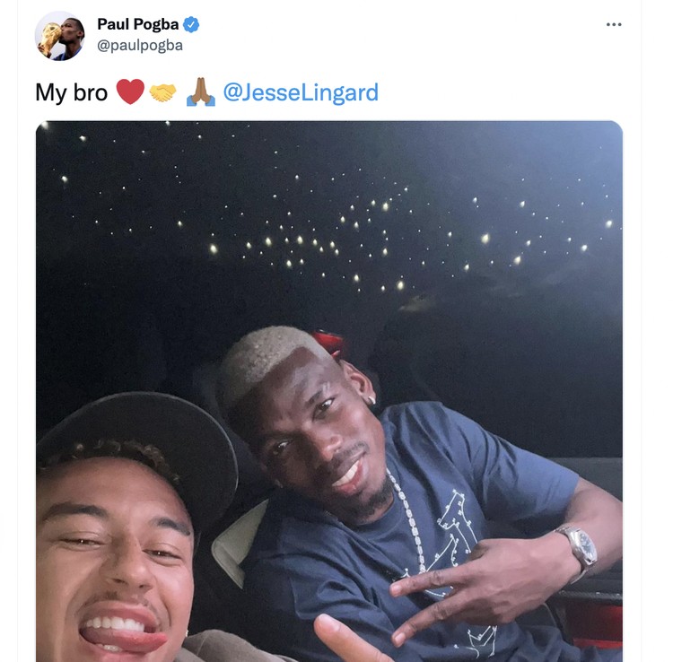 Meme Paul Pogba Meme Paul Pogba