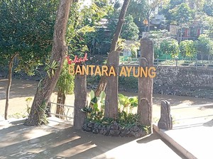 Berwisata di Tukad Bantara Ayung, Bisa Edukasi Tanaman Langka