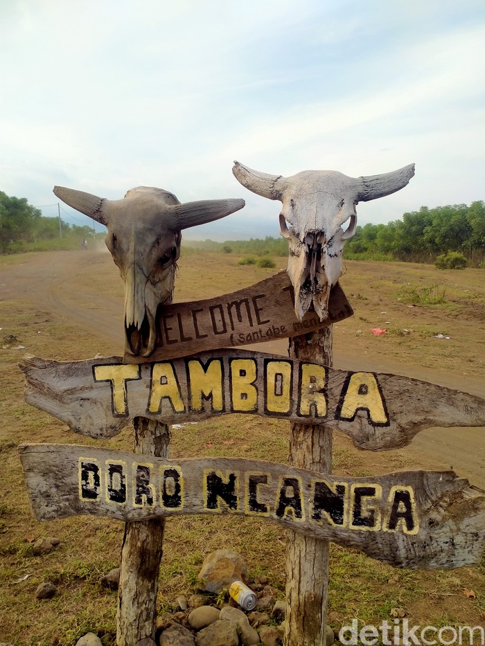 Padang Savana Doro Ncanga Gunung Tambora Padang Savana Doro Ncanga Gunung Tambora