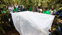 Institut Humboldt, sebuah kelompok penelitian lingkungan, mengatakan setidaknya 160 spesies amfibi di Kolombia terancam punah.
