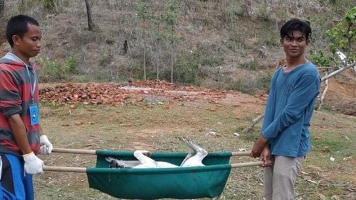 Pengamanan anjing liar di area Sirkuit Mandalika oleh Yayasan Pecinta Binatang Lombok bersama BKSDA NTB.